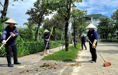 Ecogarden sạch – xanh tươi sau ngày mưa lũ.